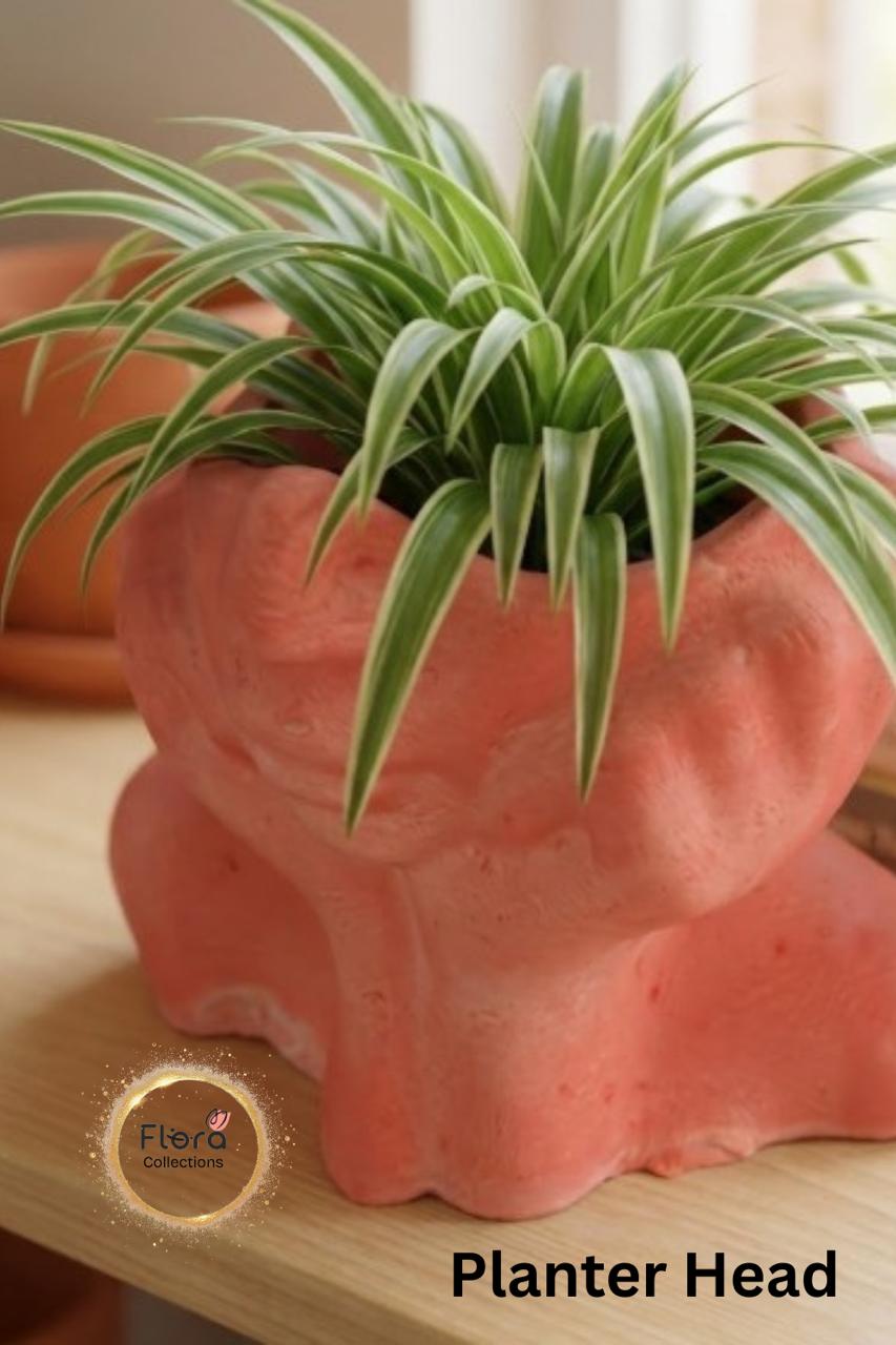 Lady Planter Head – Multi-Use Gypsum Art Piece | Planter, Pen Stand & Home Decor